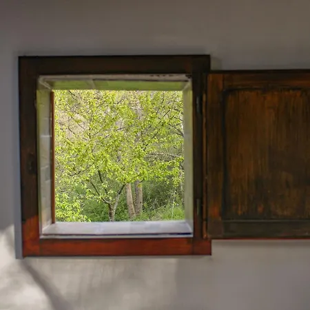 住宿加早餐酒店 Oak Tree Ranch *