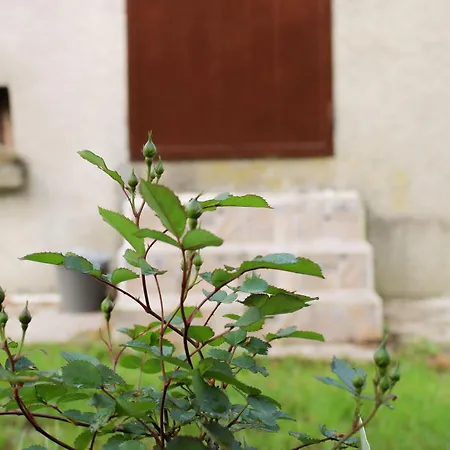 住宿加早餐酒店 Oak Tree Ranch Lagaro