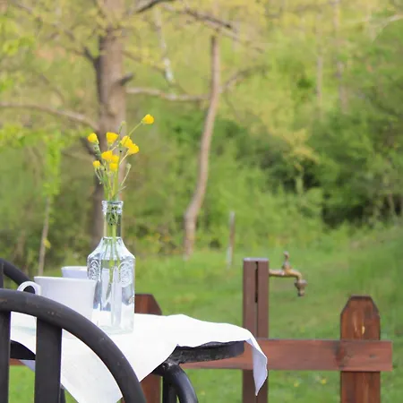 Oak Tree Ranch Bed & Breakfast Lagaro