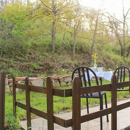 Oak Tree Ranch Bed & Breakfast