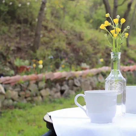 Bed & Breakfast Oak Tree Ranch Lagaro