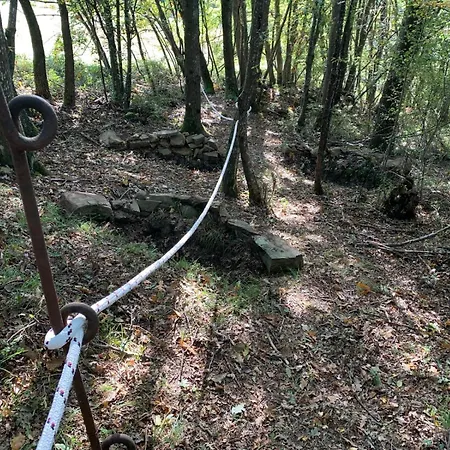 住宿加早餐酒店 Oak Tree Ranch Lagaro