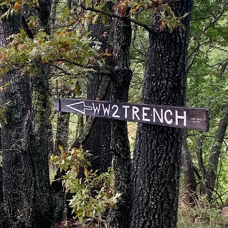 Oak Tree Ranch *