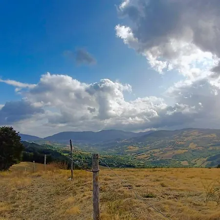 住宿加早餐酒店 Oak Tree Ranch Lagaro