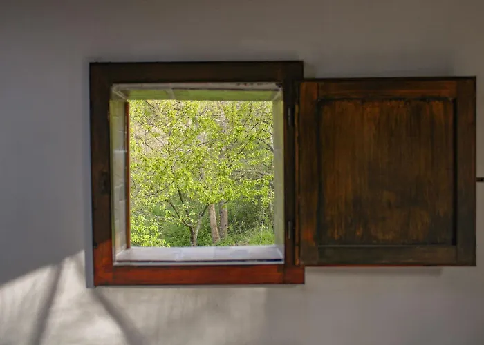 Nocleg ze śniadaniem Oak Tree Ranch *