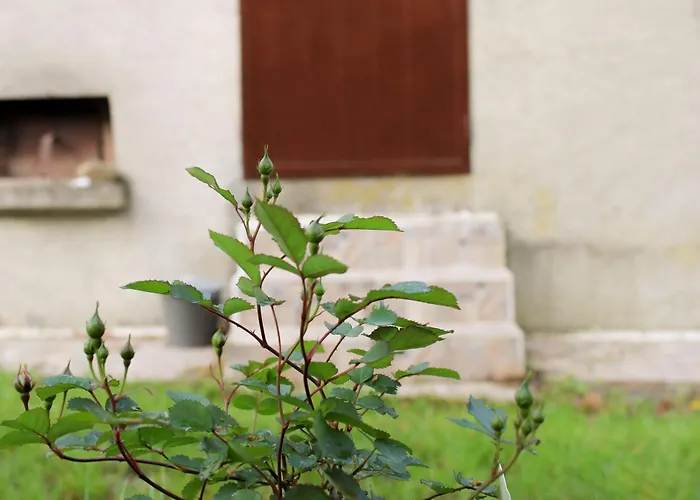Nocleg ze śniadaniem Oak Tree Ranch Lagaro