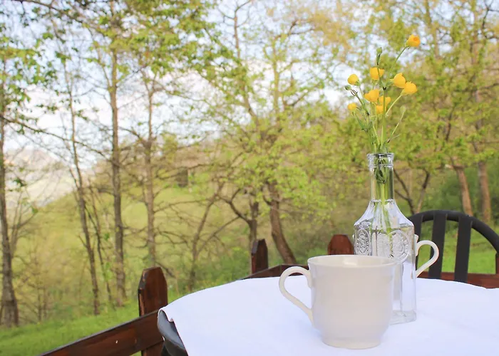 Oak Tree Ranch Bed & Breakfast