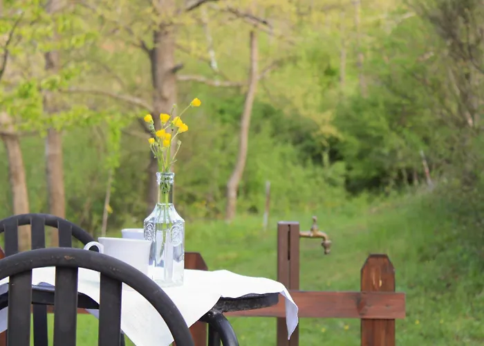 Oak Tree Ranch Bed & Breakfast Lagaro