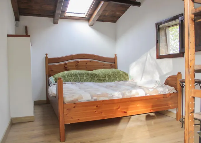 Oak Tree Ranch * Lagaro